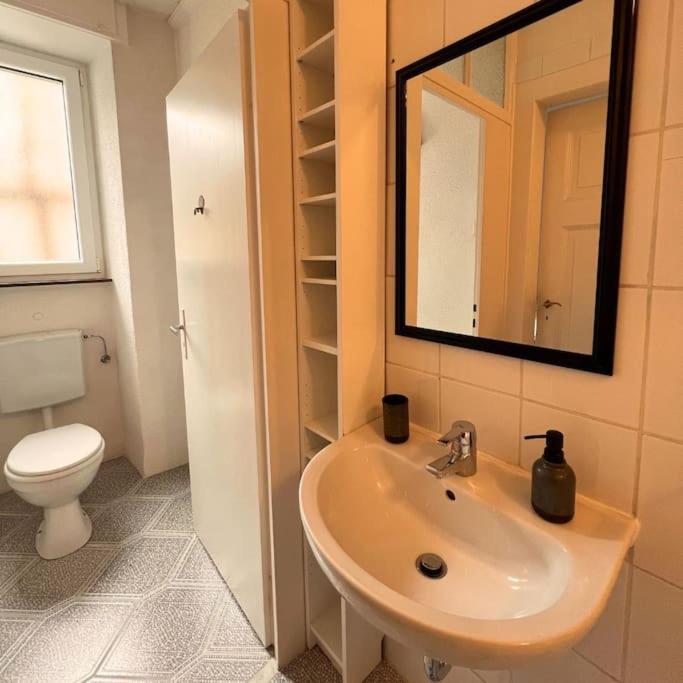 コブレンツGemuetliche Rheinblick Residenzアパートメント エクステリア 写真