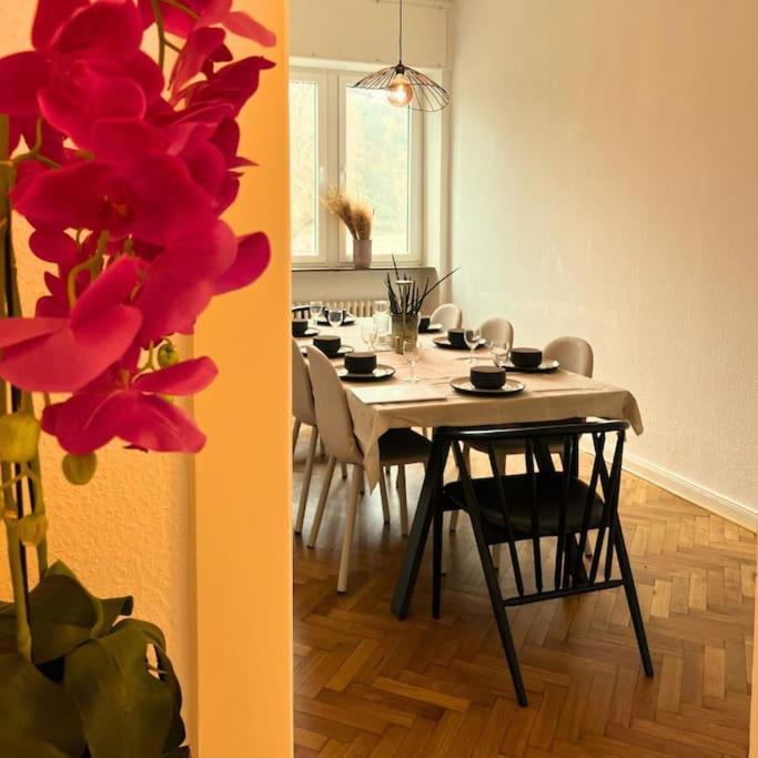 コブレンツGemuetliche Rheinblick Residenzアパートメント エクステリア 写真