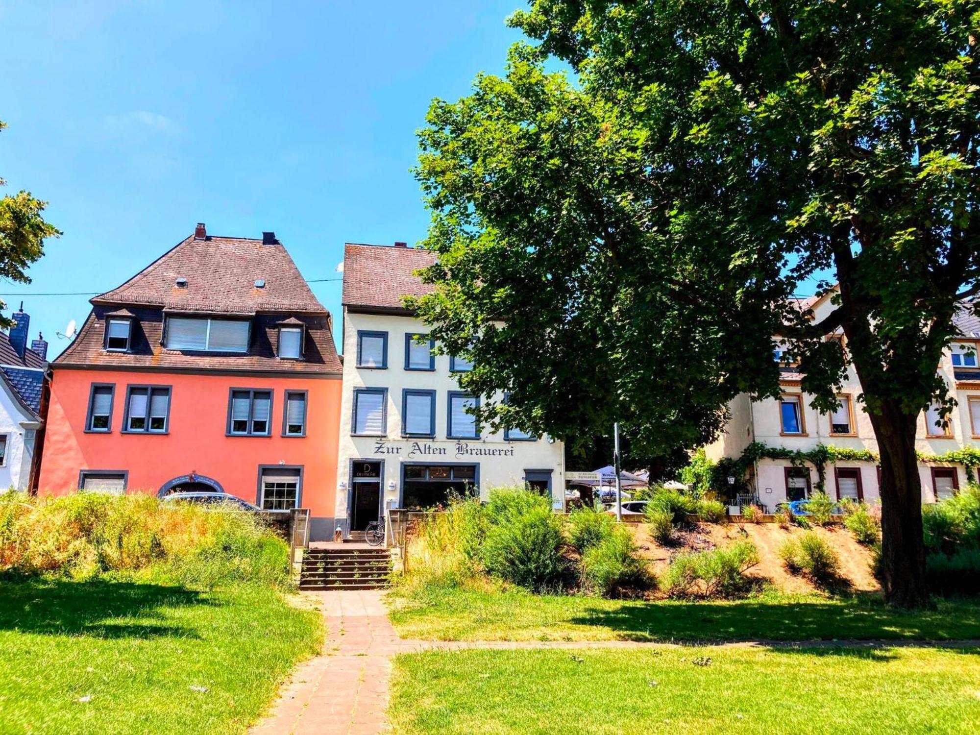 コブレンツGemuetliche Rheinblick Residenzアパートメント エクステリア 写真